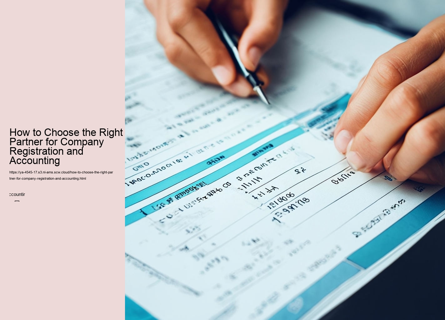 How to Choose the Right Partner for Company Registration and Accounting